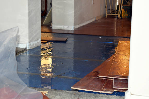 Professional Basement Water Removal technician working in Victor, CA